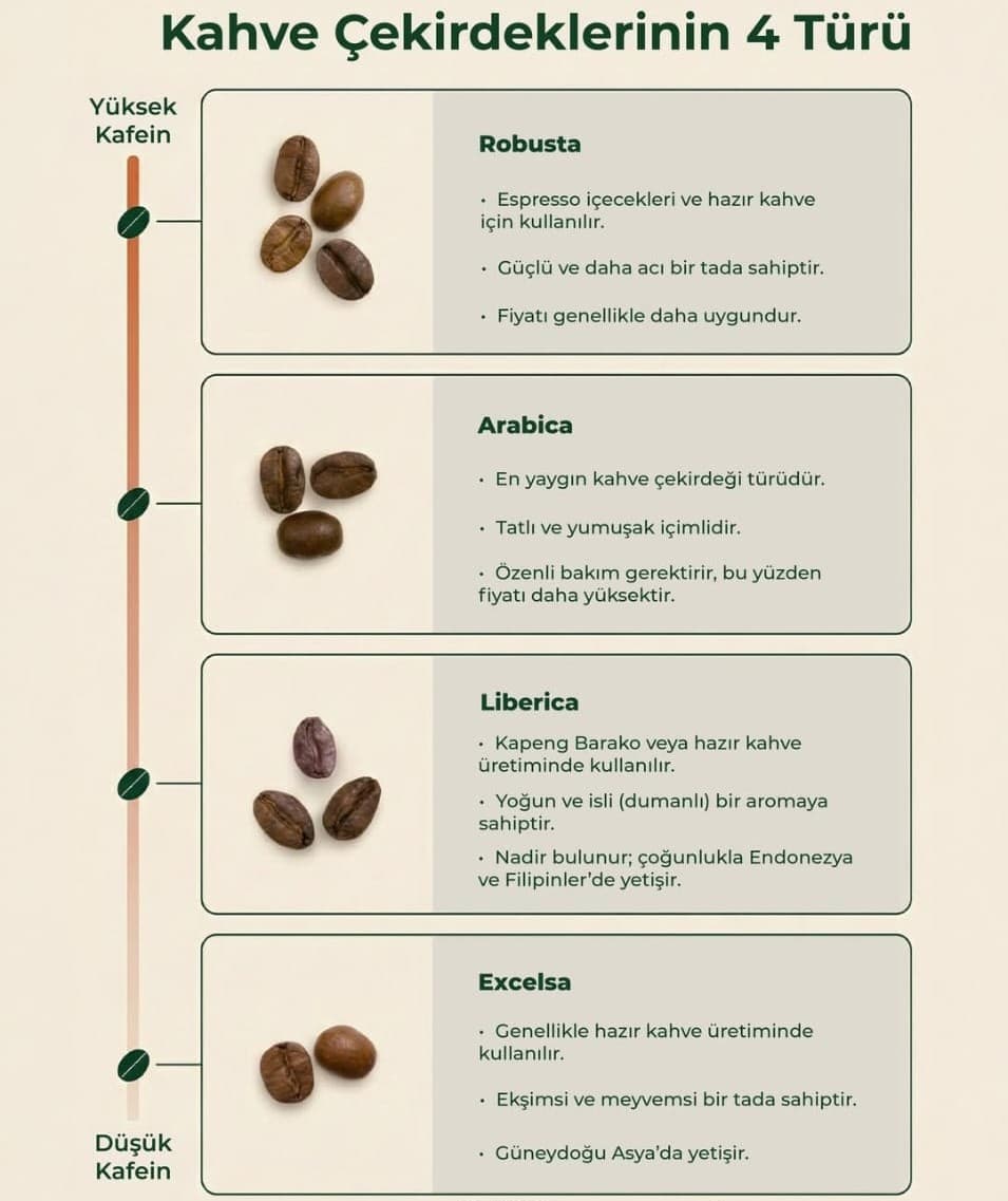 Kahve Çekirdeklerinin 4 Türü