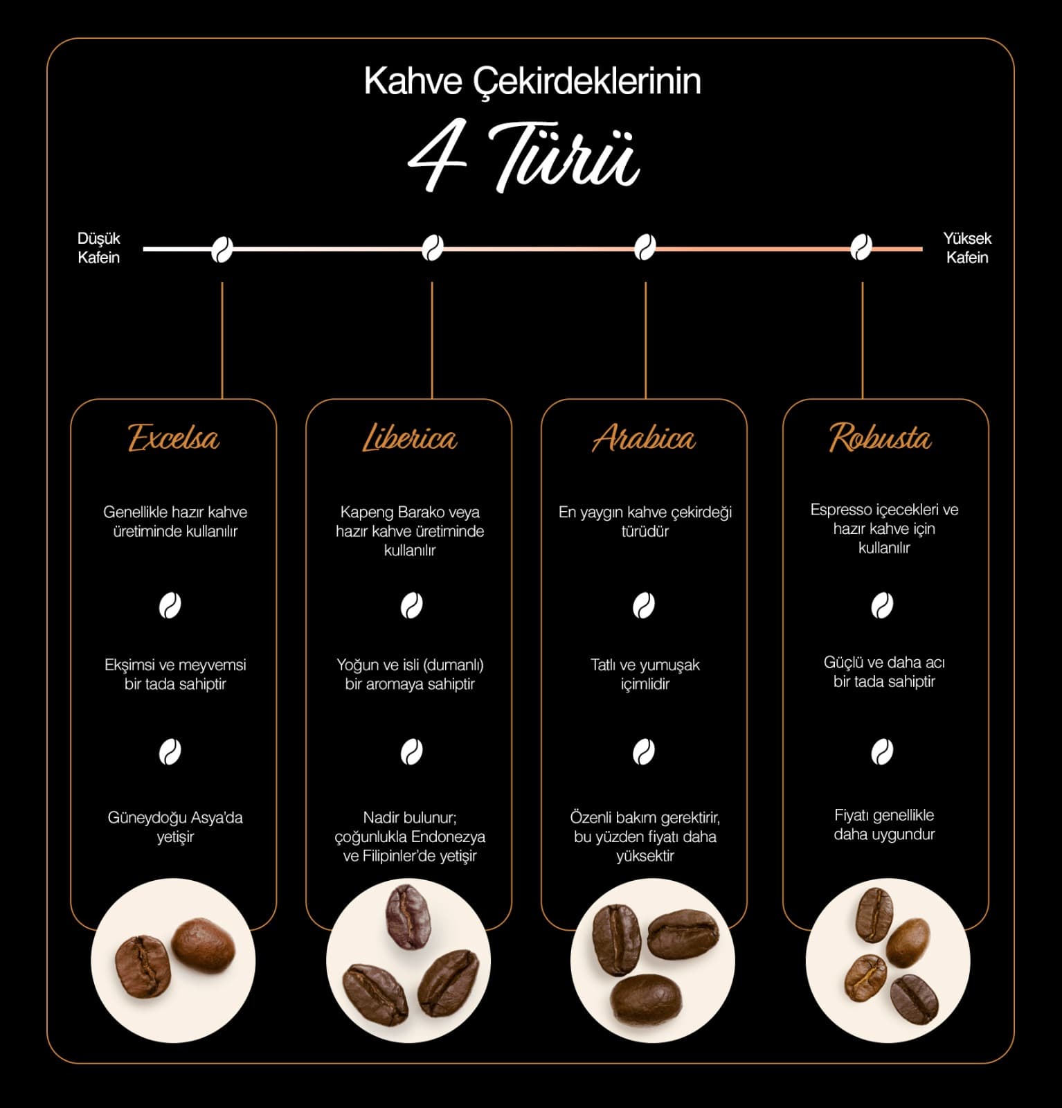 Kahve Çekirdeklerinin 4 Türü